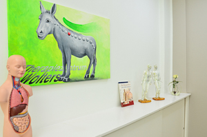 Bilder aus der Praxis für PHYSIOTHERAPIE & OSTEOPATHIE im Schepersfeld, Therapiezentrum Wolters.