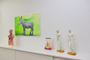 Bilder aus der Praxis für PHYSIOTHERAPIE & OSTEOPATHIE im Schepersfeld, Therapiezentrum Wolters.